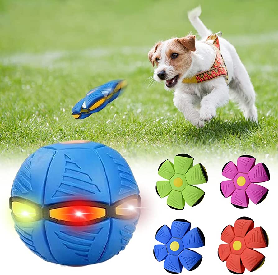 The paws vibes™ Dog Frisbee