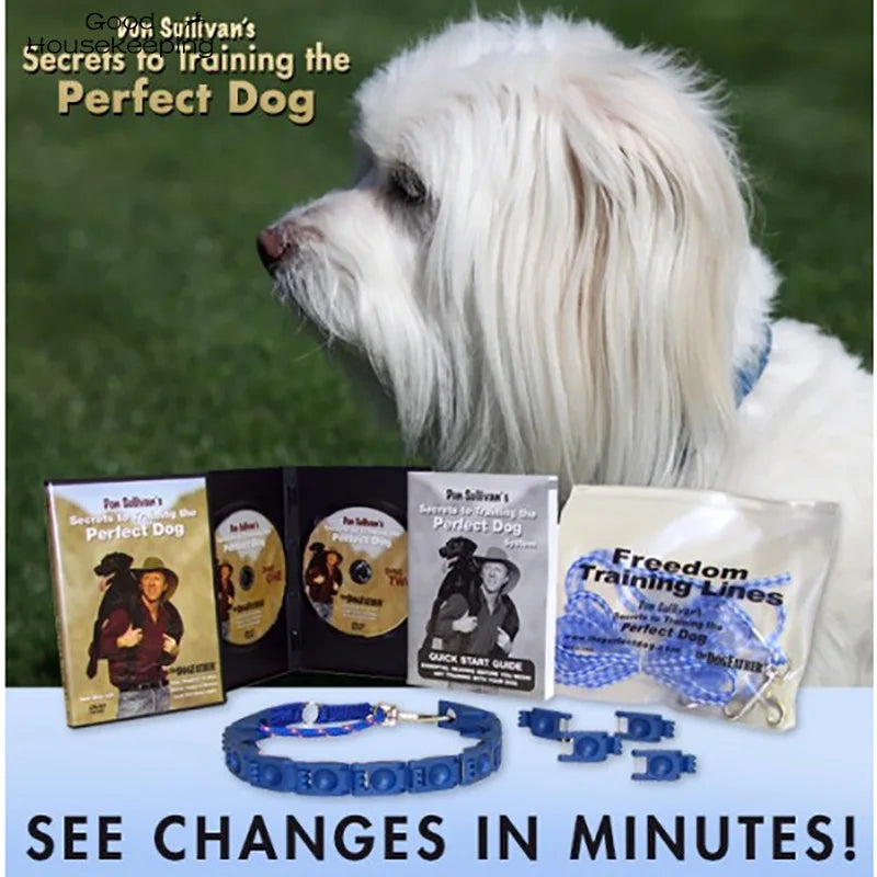 Dog Collar Welded Link Chain Pet Non-slip Pinch Adjustable Large Size Training Accessories Collars For Big Dogs