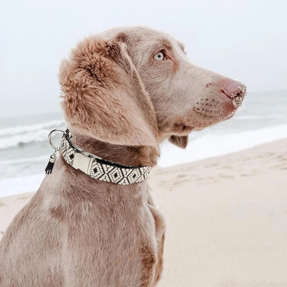 Bohemian Ethnic Style Pet Collars For Small Medium And Large Dogs Multi-colors Choose Adjustable Luxurious Trend New Arrivals