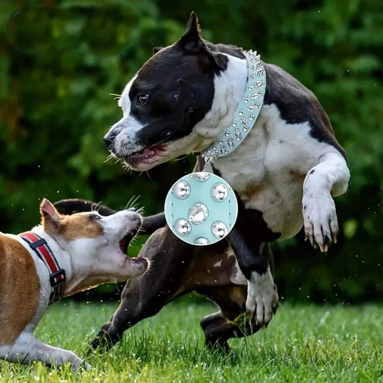 CP037--pet dog adjustable rivet collar,  anti-bite neck protect collar used of durable PU leather and rust resistant metal rivet